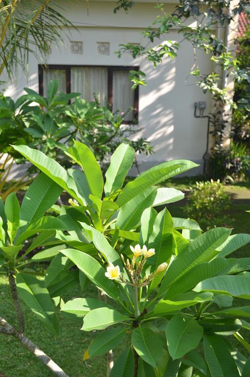 Wijaya Guest House Ubud Εξωτερικό φωτογραφία