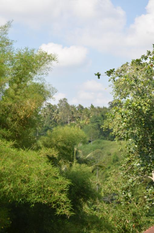 Wijaya Guest House Ubud Εξωτερικό φωτογραφία
